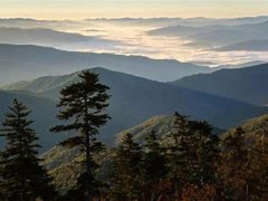 1 Mi To Dollywood Mins To All Attractions & Gsmnp Sevierville Eksteriør billede